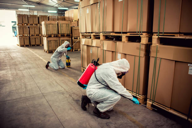 Best Best Pest Control Companies  in Bellbrook, OH