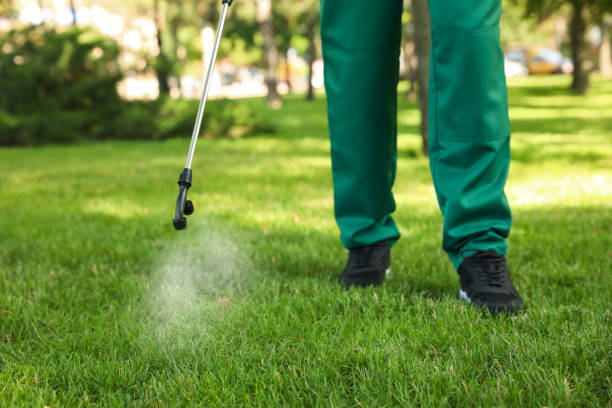 Best Rat Extermination Near Me  in Bellbrook, OH
