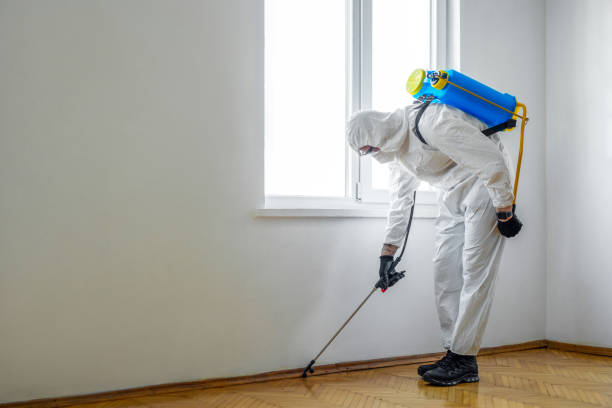 Pest Control Cost in Bellbrook, OH