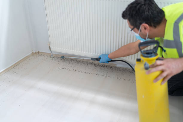 Best Pest Control Near Me  in Bellbrook, OH