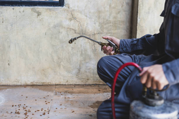 Best Affordable Pest Control Services  in Bellbrook, OH